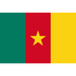 Cameroon Flag 90x150cm Dress Up Not specified 