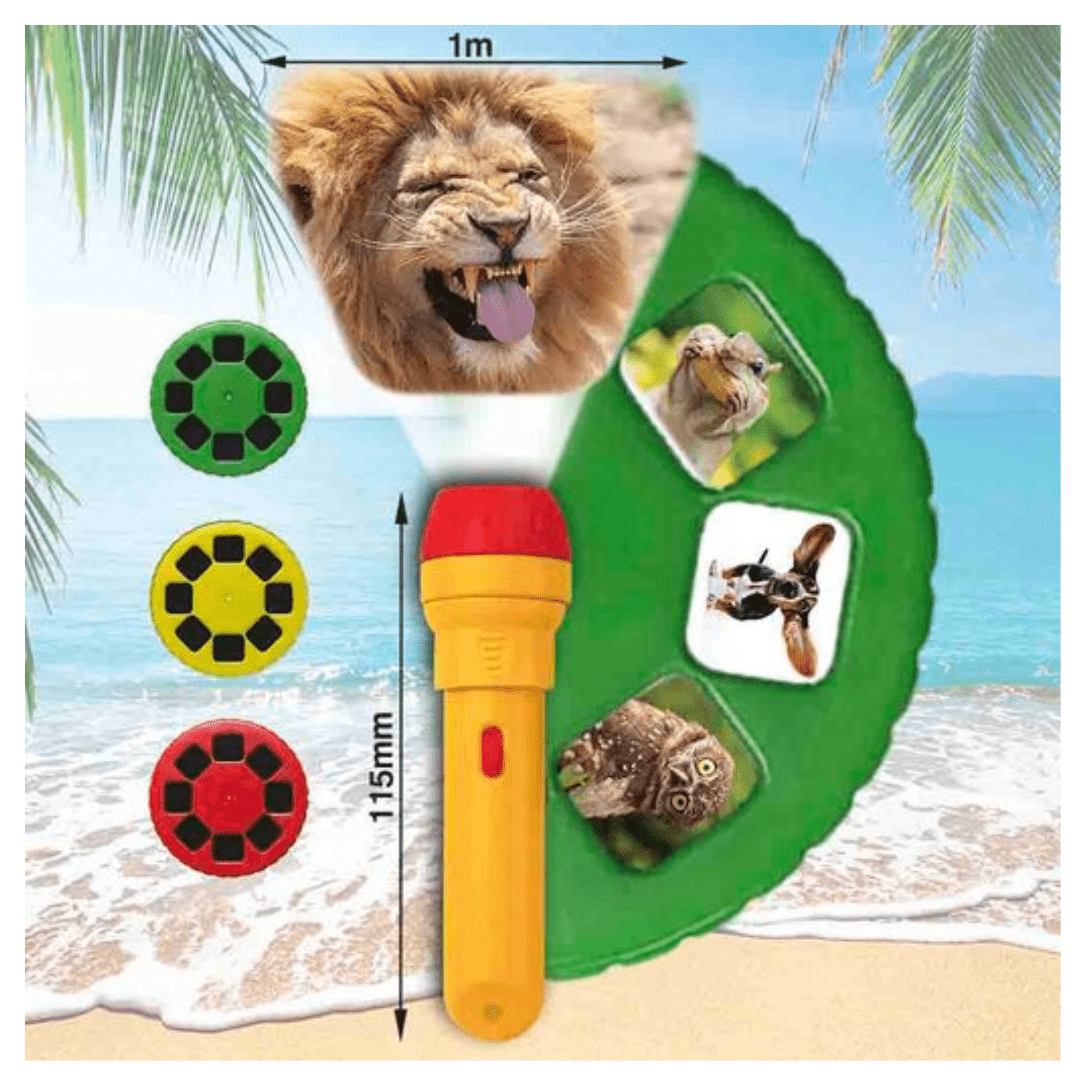 Funny Animals Torch and Projector Toys Brainstorm 
