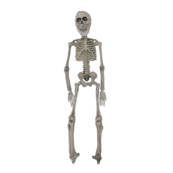 Hanging Skeleton 43cm Dress Up Not specified 