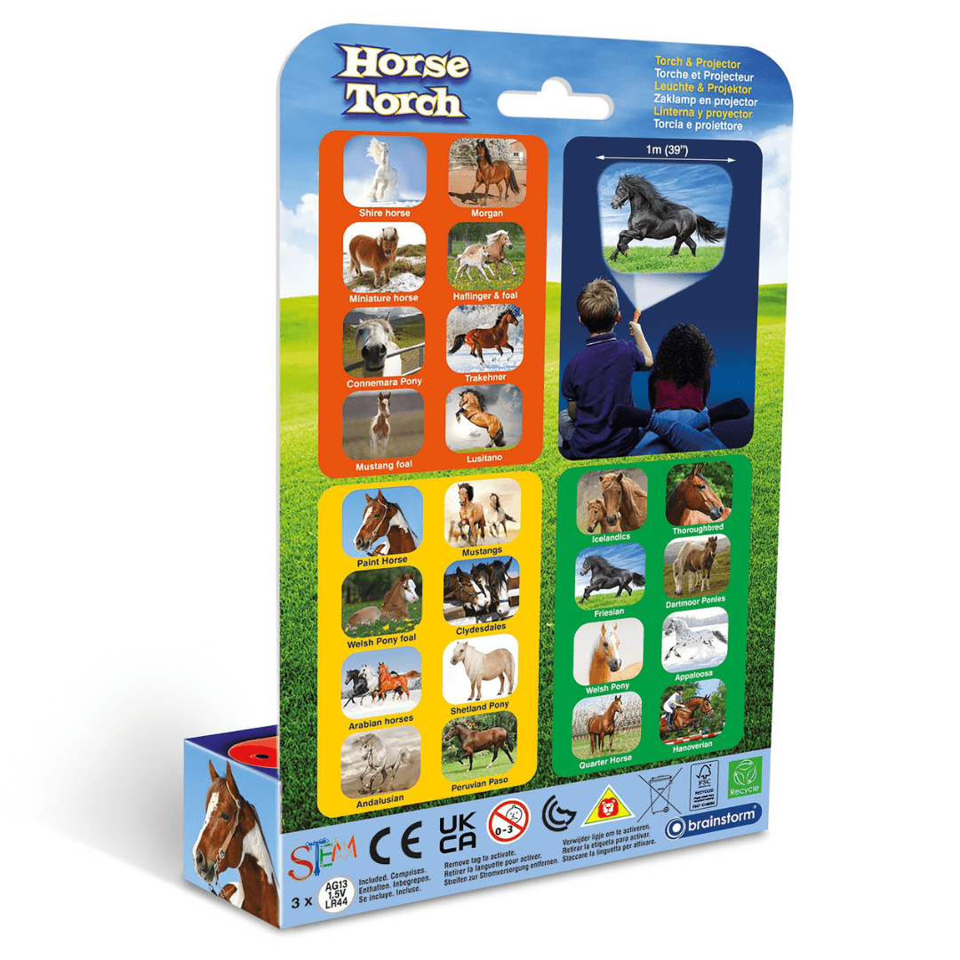 Horse Torch and Projector Toys Brainstorm 