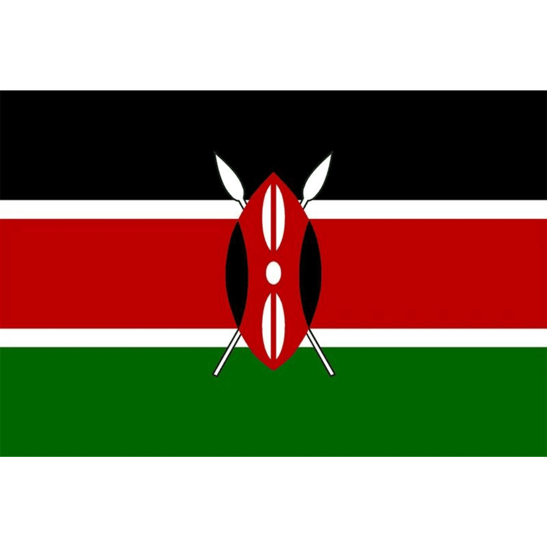 Kenya Flag 90x150cm Dress Up Not specified 