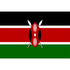 Kenya Flag 90x150cm Dress Up Not specified 