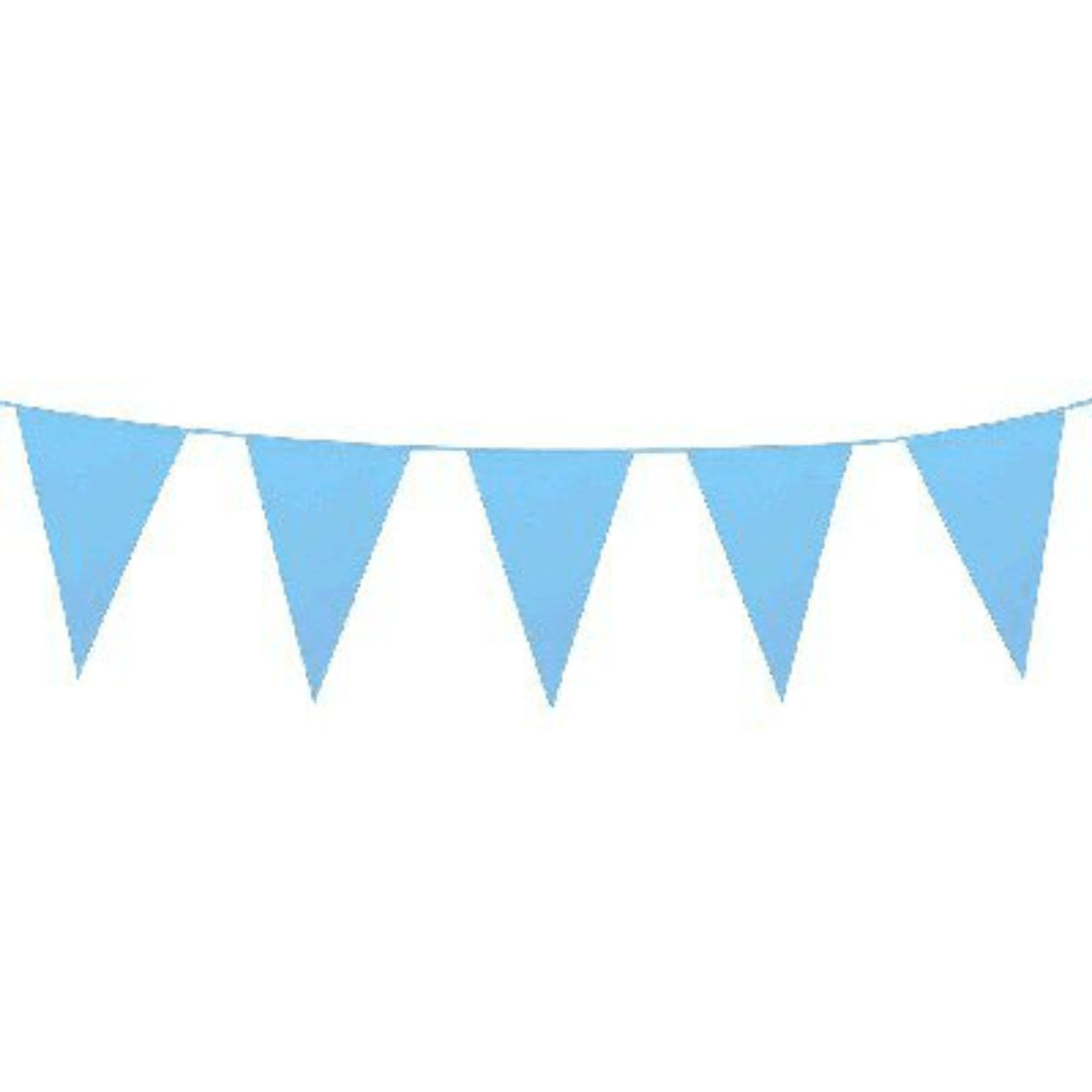 Light Blue Bunting Parties Not specified 