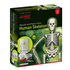 Mould & Paint Human Skeleton (Glows) Toys Jeanny 