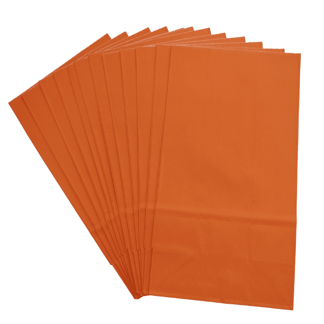 Orange Party Bag 12pc Parties Not specified 