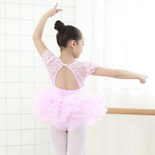 Pink Layered Ballet Tutu Ballet Not specified 