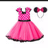 Pink Minnie Dress & Ears Dress Up Not specified 