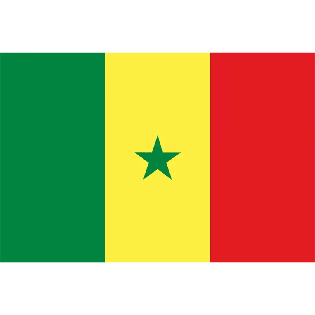 Senegal Flag 90x150cm Dress Up Not specified 