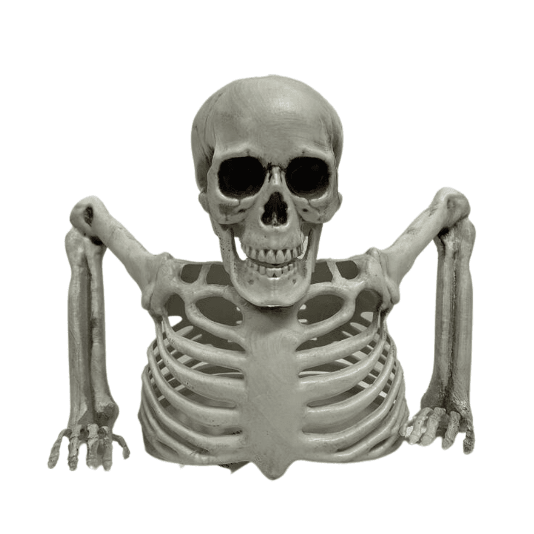 Skeleton Upper Body Halloween Not specified 