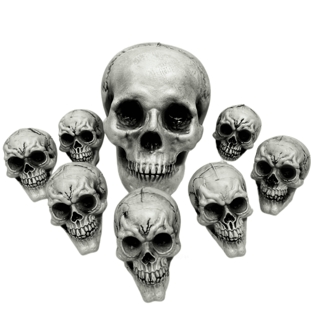 Skulls in a Bag Halloween Not specified 