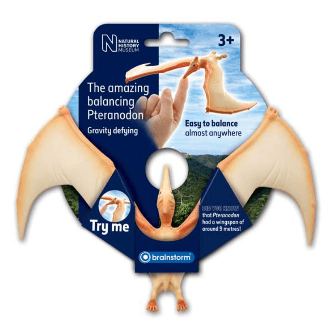 The Amazing Balancing Pteranodon Toys Brainstorm Toys 
