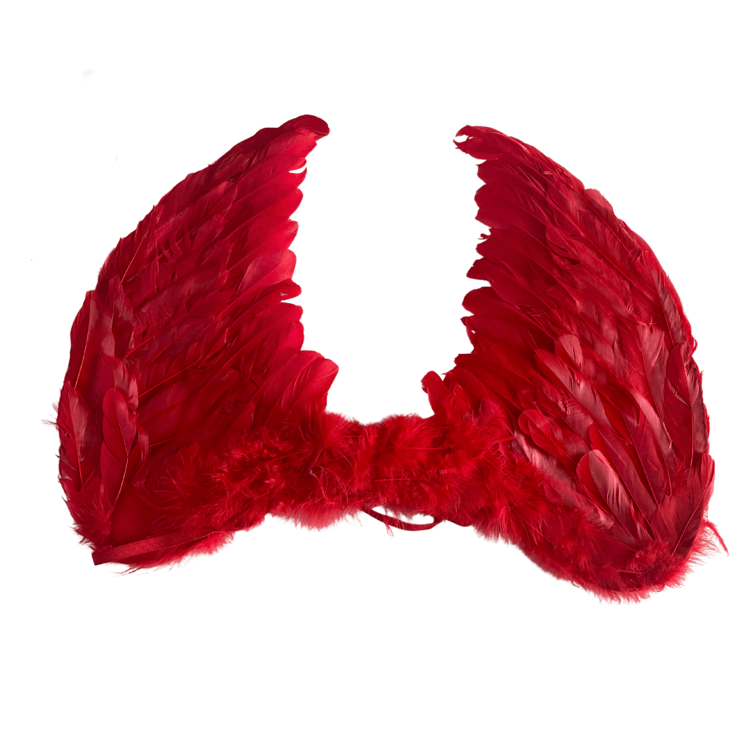 Wings Angel Feather L Dress Up Not specified Red 